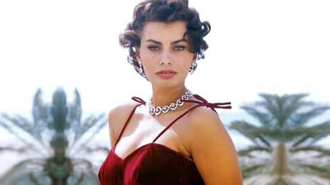 صوفيا لورين Sophia Loren صوفيا لورين Sophia Loren
